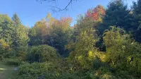山間全年開放度假屋