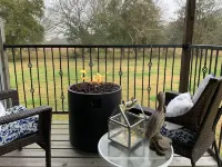 The Sea Shack--Perfect For Mardi Gras, Rodeo, Blocks Away From Boat Ramp And Bay Hotel a San Leon