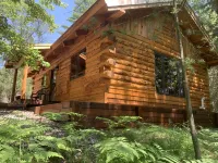 Big Bear Hideaway - St Germain Cabin 1 on St Germain River Hotels in St. Germain