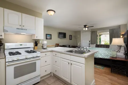 Beautiful studio apartment in Saratoga - short walk to downtown