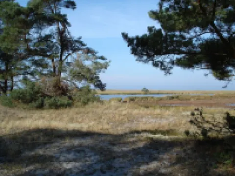 Comfortable vacation apartment Gartenparadies Hotels in Fuhlendorf