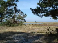 Comfortable vacation apartment Gartenparadies
