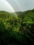 Permitted Charming Log House Farm Stay! Upcountry Maui. Magical and Peaceful!