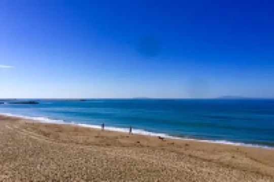 Book 3 Nights Get the 4TH for Free Oceanfront!