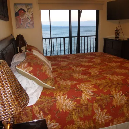 Super Luxury, Direct Oceanfront, 20 yards From Ocean, Whale Watchers Paradise