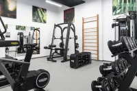 Holiday Inn PRAGUE by IHG - Træningscentre