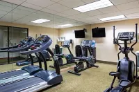 La Quinta Inn & Suites by Wyndham Stamford / New York City - Gym