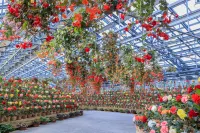 Tabist Daiwaso Shinhama Yokkaichi