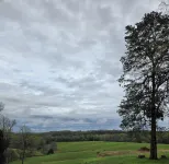 The Jackson House  at Barren River Lakefall Discounta Unique Experience !