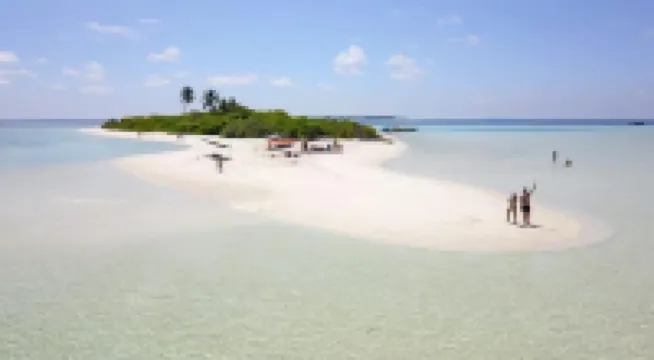 Detour Beach View