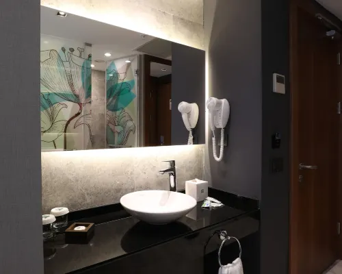 Ibis Styles Istanbul Atasehir Phòng Photos