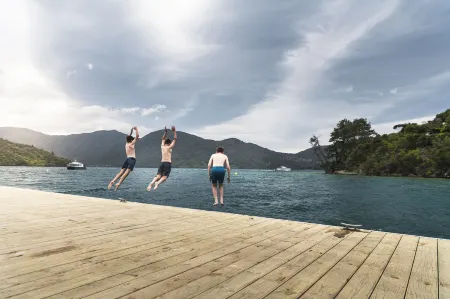 Punga Cove Resort Отели в г. Пайнс