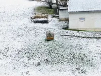Pension Weiberwirtschaft Hotels in Marienberg