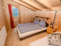 Chalet in Hollersbach Near Kitzbühel Ski Lift Hotels in Hollersbach im Pinzgau