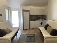 Foca Suit - Pet-friendly