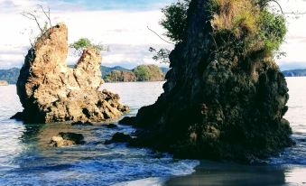 El Gecko Hotel & Tours