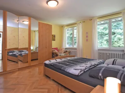 Spacious Holiday Home Near the Ski Area