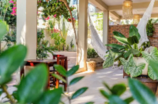 Swiss Garten Jeri فنادق في 