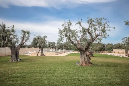 Casale Degli Ulivi Отели рядом с достопримечательностью «Сафари зоопарк»