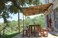 Apartment Cilento Ascea with swimming pool Casolare Centoulivi