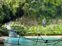 Platon Ecolodge - piscine