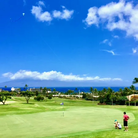 Kaanapali Royal Q-202