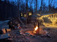 The Bird House ~ A modern treehouse in the forest ~ 15 minutes from downtown
