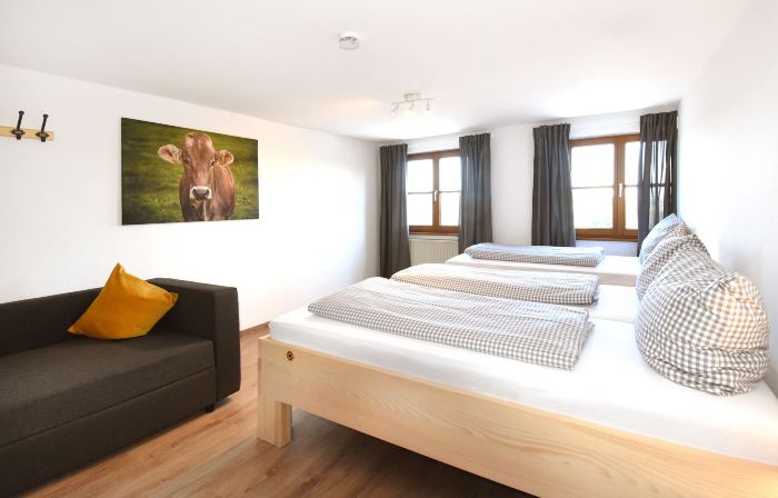 Alps Hostel
