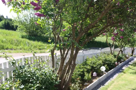 Zur Alpenruhe Отели в г. Гемайнде Зеебоден