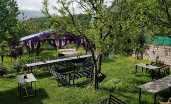 Madpackers Manali