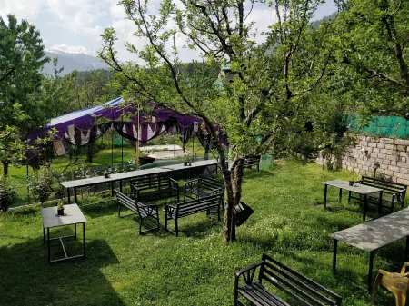 Madpackers Manali Отели в г. Куллу