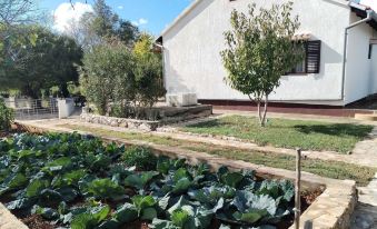 Holiday Home Višnja