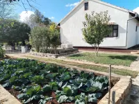 Holiday Home Višnja فنادق في 