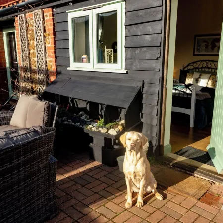 Norfolk Accommodation