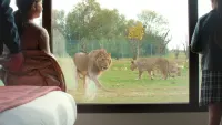 Le royaume des Lions Hotels in Pommeuse