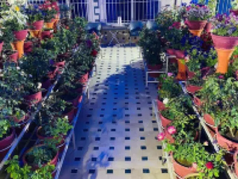 Al Qasim Hotel Hotels in Quetta