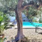 El Cielo Azul - Swimmingpools