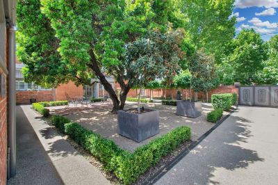 Garden The Houston Photo