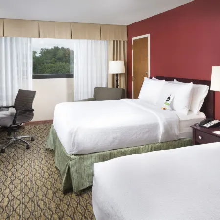 Holiday Inn JOHNSON CITY by IHG