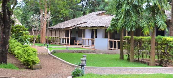 Honey Badger Lodge Hotels in Moshi