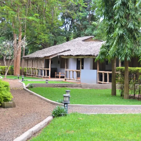 Honey Badger Lodge