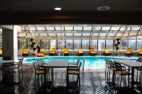 MS Milenium Monterrey, Curio Collection by Hilton - Pool