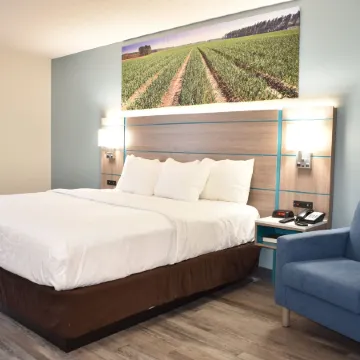 Clarion Pointe Vidalia - Lyons West