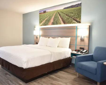 Clarion Pointe Vidalia - Lyons West Hotels in Toombs County