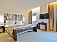 Ramada Plaza by Wyndham Bucharest Convention Center Hotels near S-Park