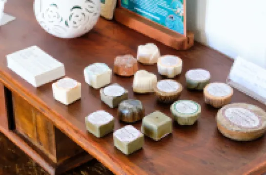 A Casa de Paulo Autran