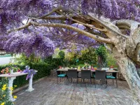 B&B Glicine Hotels in Ancona