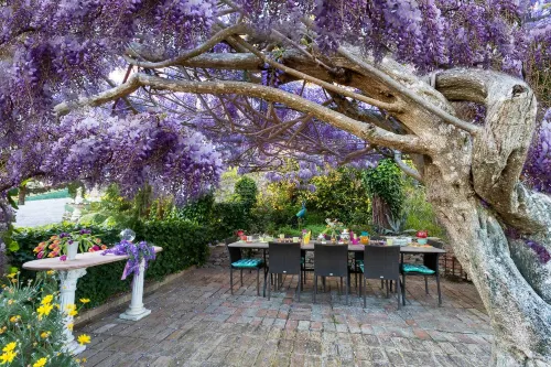 B&B Glicine - Bed and Breakfasts