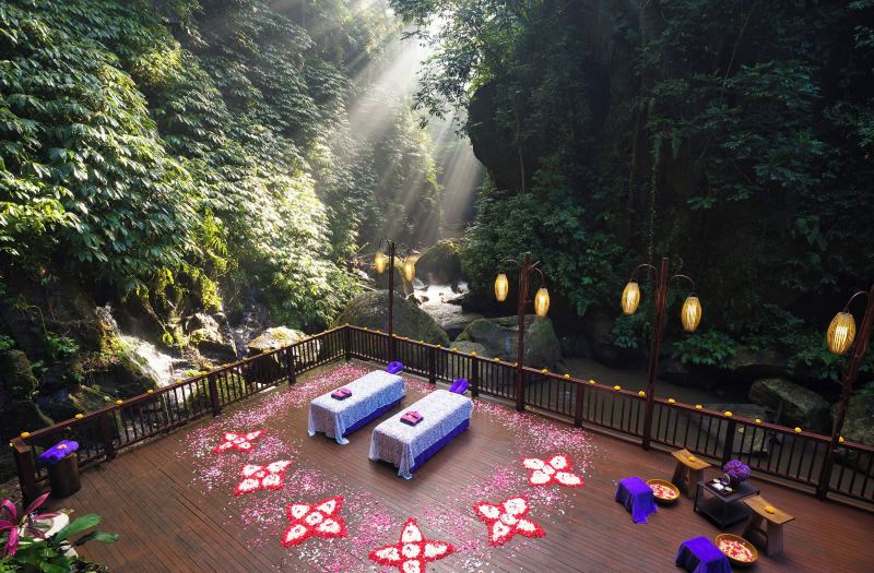 Nandini Jungle by Hanging Gardens photo 5