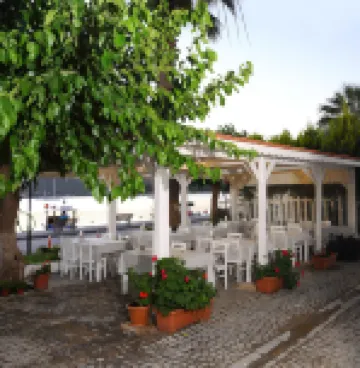 TEOS LODGE Pansiyon & Restaurant